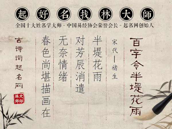 百字令·半堤花雨